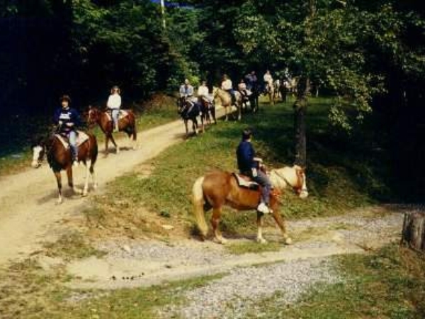 Turning down Cabin Rd to the Lake